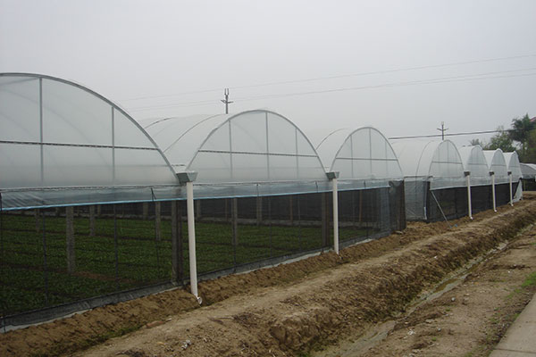 中国利农农业集团公司温室大棚工程